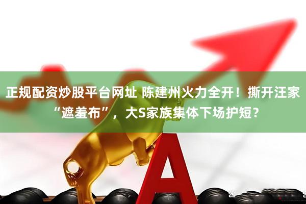 正规配资炒股平台网址 陈建州火力全开！撕开汪家 “遮羞布”，大S家族集体下场护短？