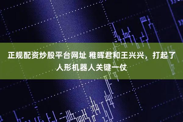正规配资炒股平台网址 稚晖君和王兴兴，打起了人形机器人关键一仗