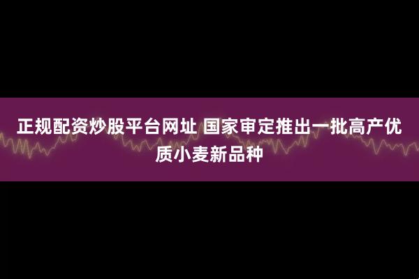 正规配资炒股平台网址 国家审定推出一批高产优质小麦新品种