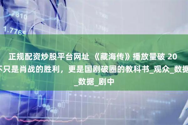正规配资炒股平台网址 《藏海传》播放量破 20 亿：不只是肖战的胜利，更是国剧破圈的教科书_观众_数据_剧中