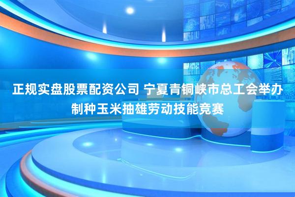 正规实盘股票配资公司 宁夏青铜峡市总工会举办制种玉米抽雄劳动技能竞赛