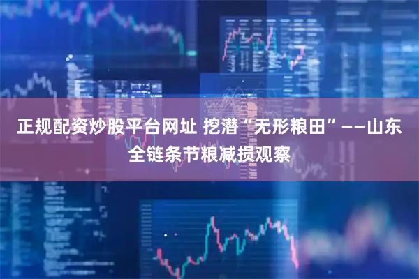 正规配资炒股平台网址 挖潜“无形粮田”——山东全链条节粮减损观察