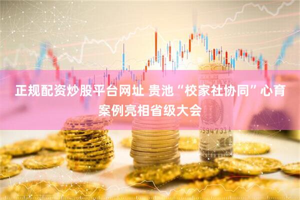 正规配资炒股平台网址 贵池“校家社协同”心育案例亮相省级大会